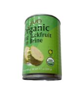 Jiva Organic Young Green Jackfruit 400ml